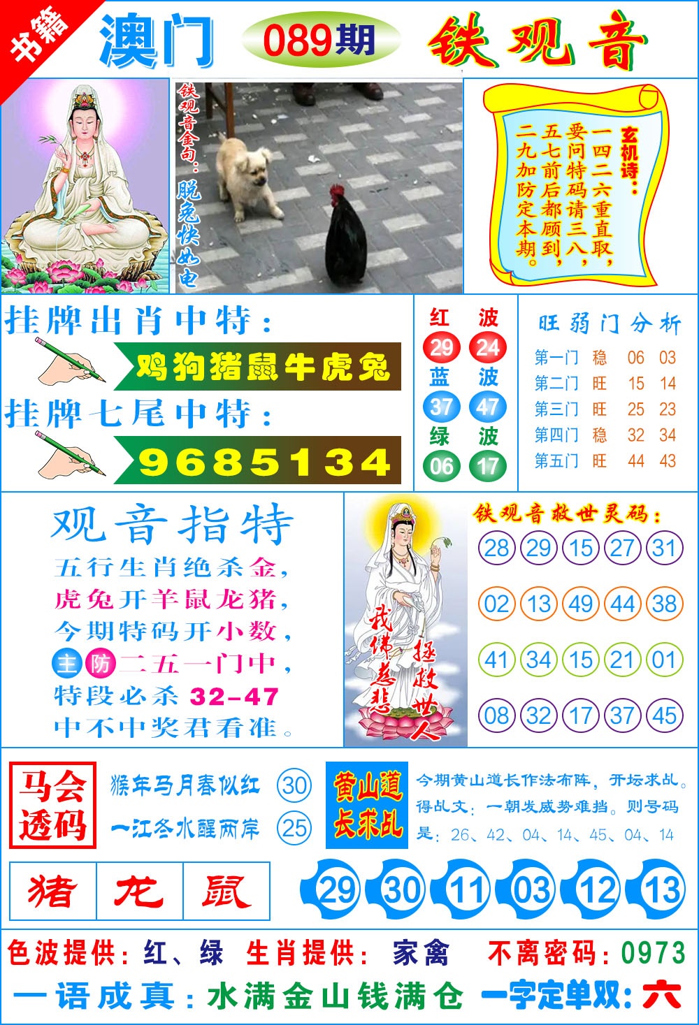 089期澳门铁观音[图]